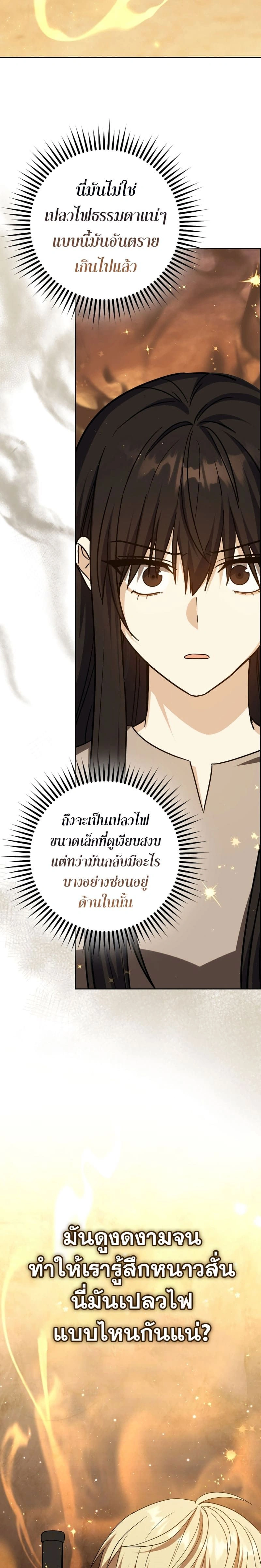 หน้าที่ 29