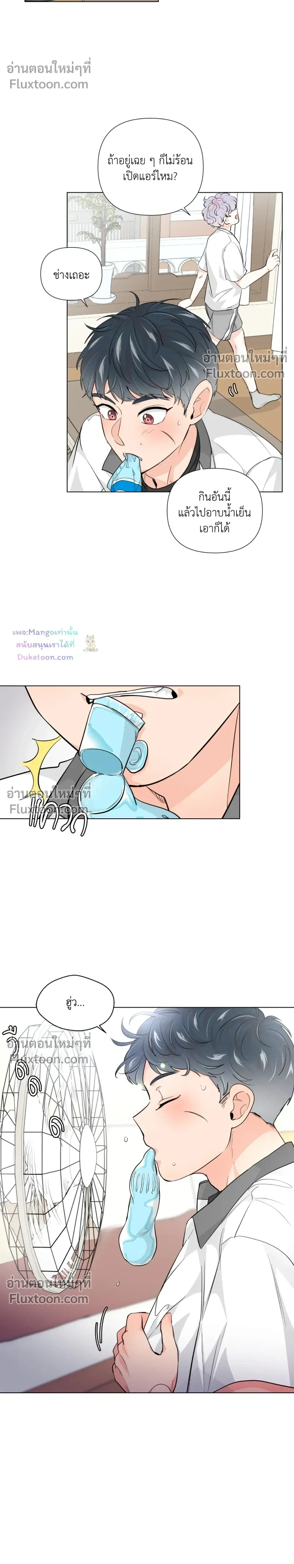 หน้าที่ 11