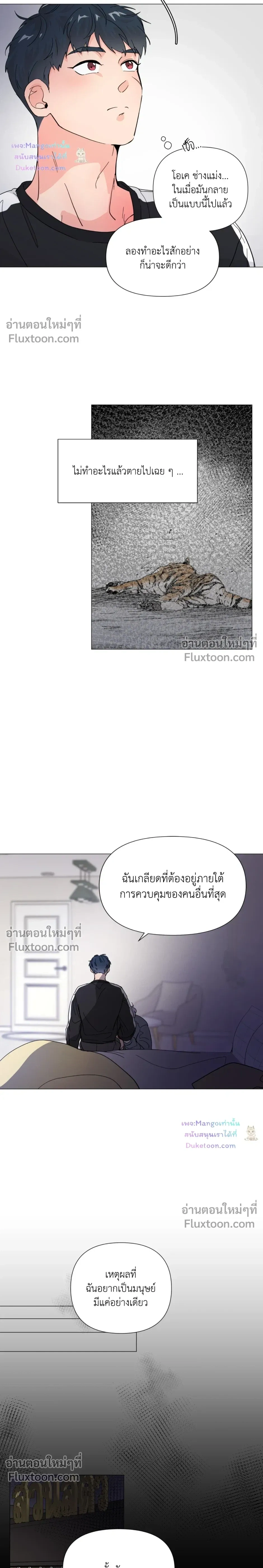 หน้าที่ 12