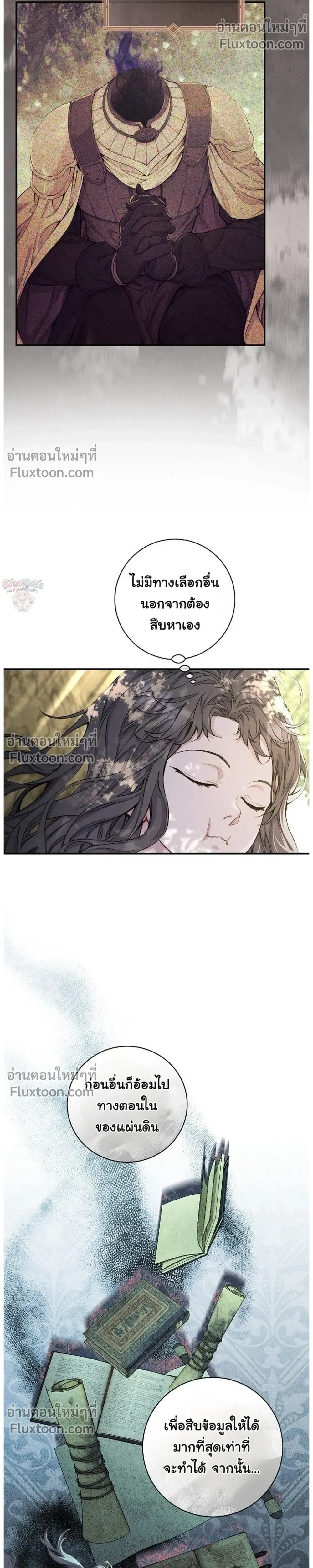 หน้าที่ 13