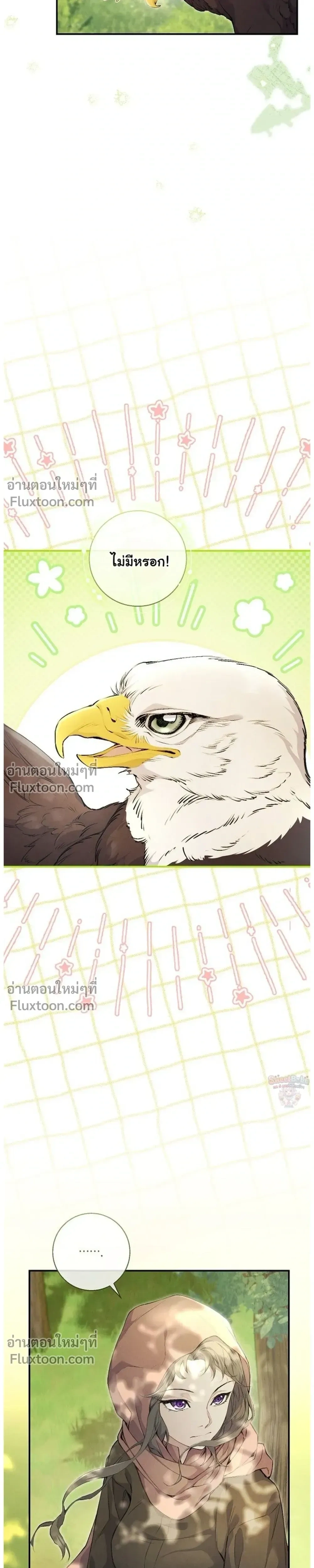 หน้าที่ 31