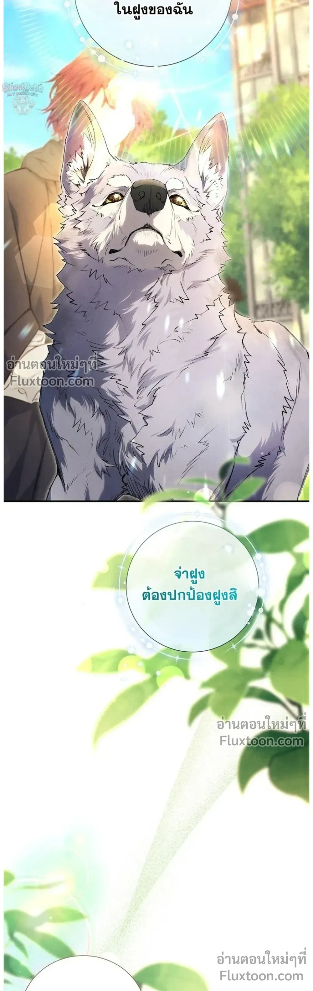 หน้าที่ 25