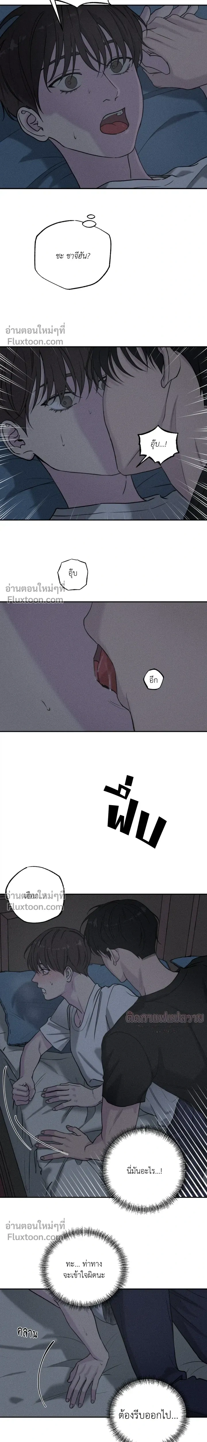 หน้าที่ 13