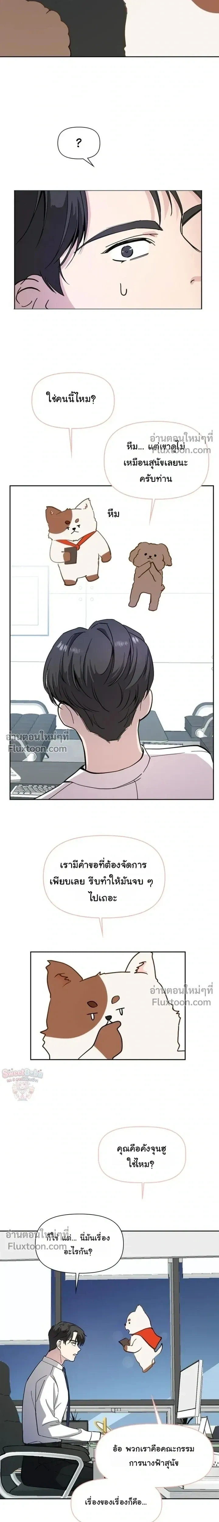 หน้าที่ 19
