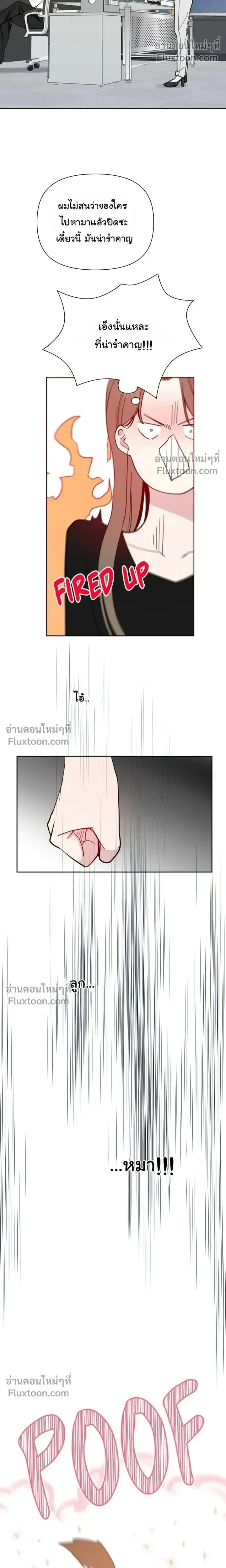 หน้าที่ 17