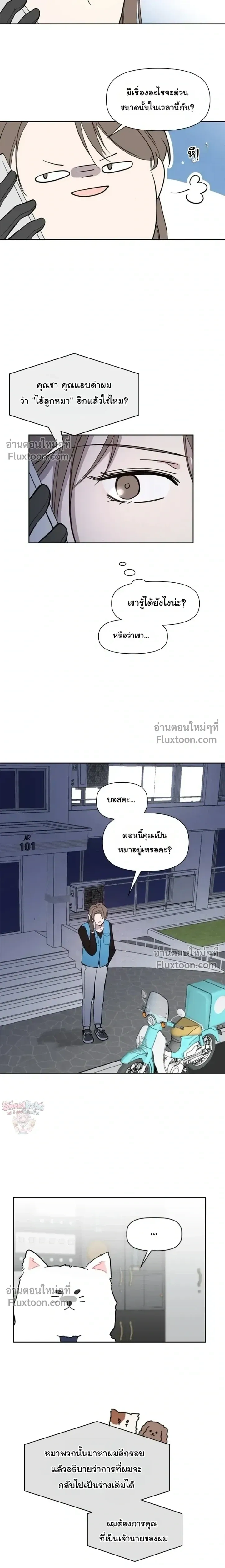 หน้าที่ 19