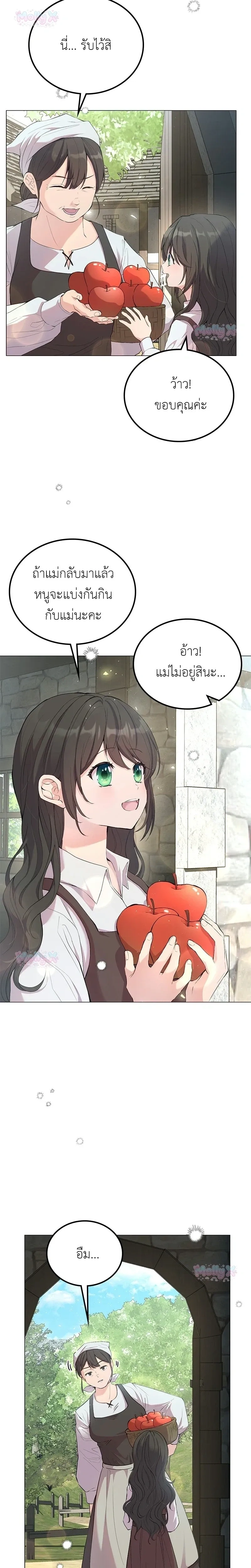 หน้าที่ 13